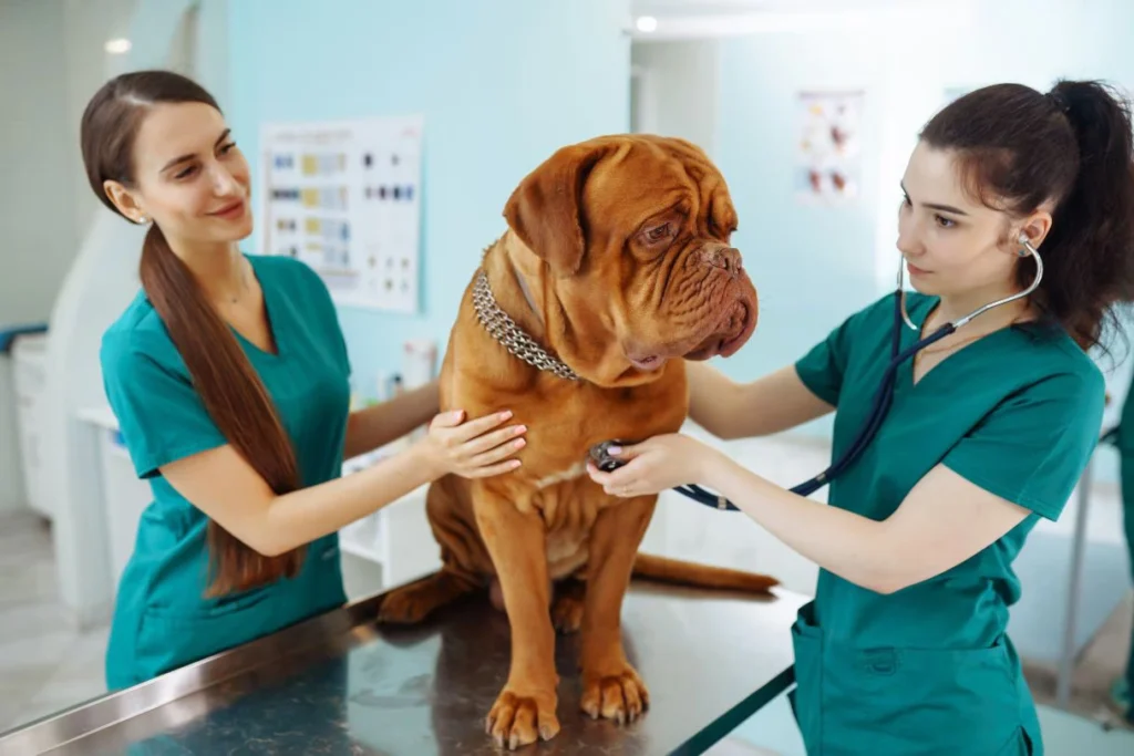 dog tumor in throat​