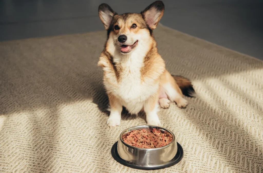 victor puppy food