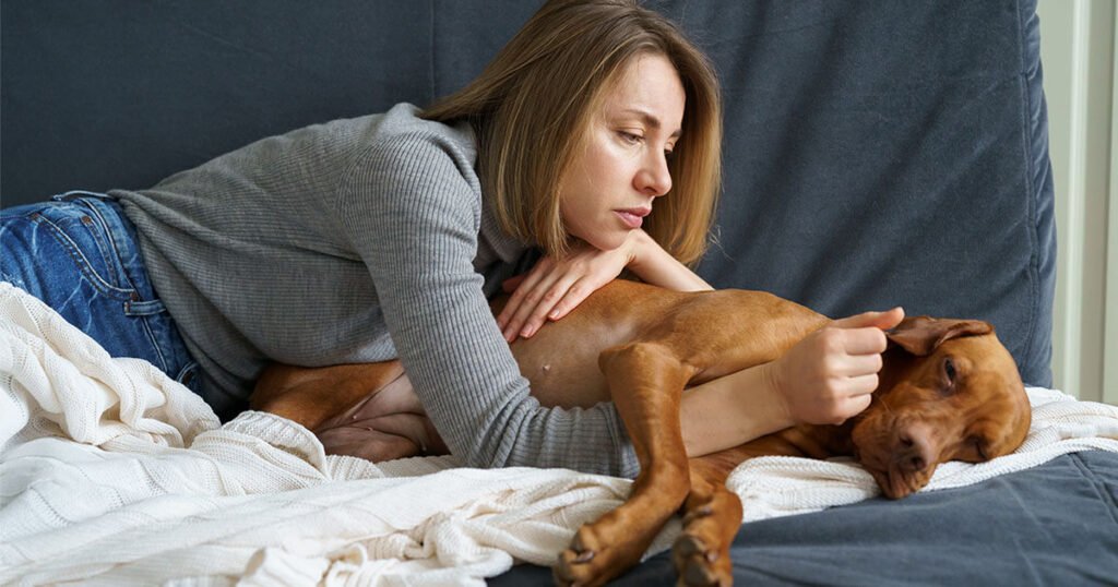 OA Pain in Dogs