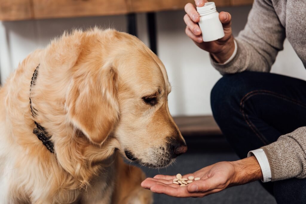 Human Medications for Dogs